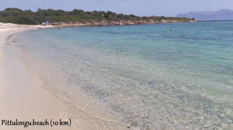 Appartement Marina Seaview à Olbia Extérieur photo
